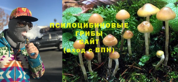 соль курить ск Дмитриев