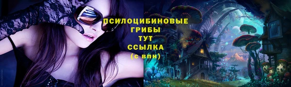 соль курить ск Дмитриев